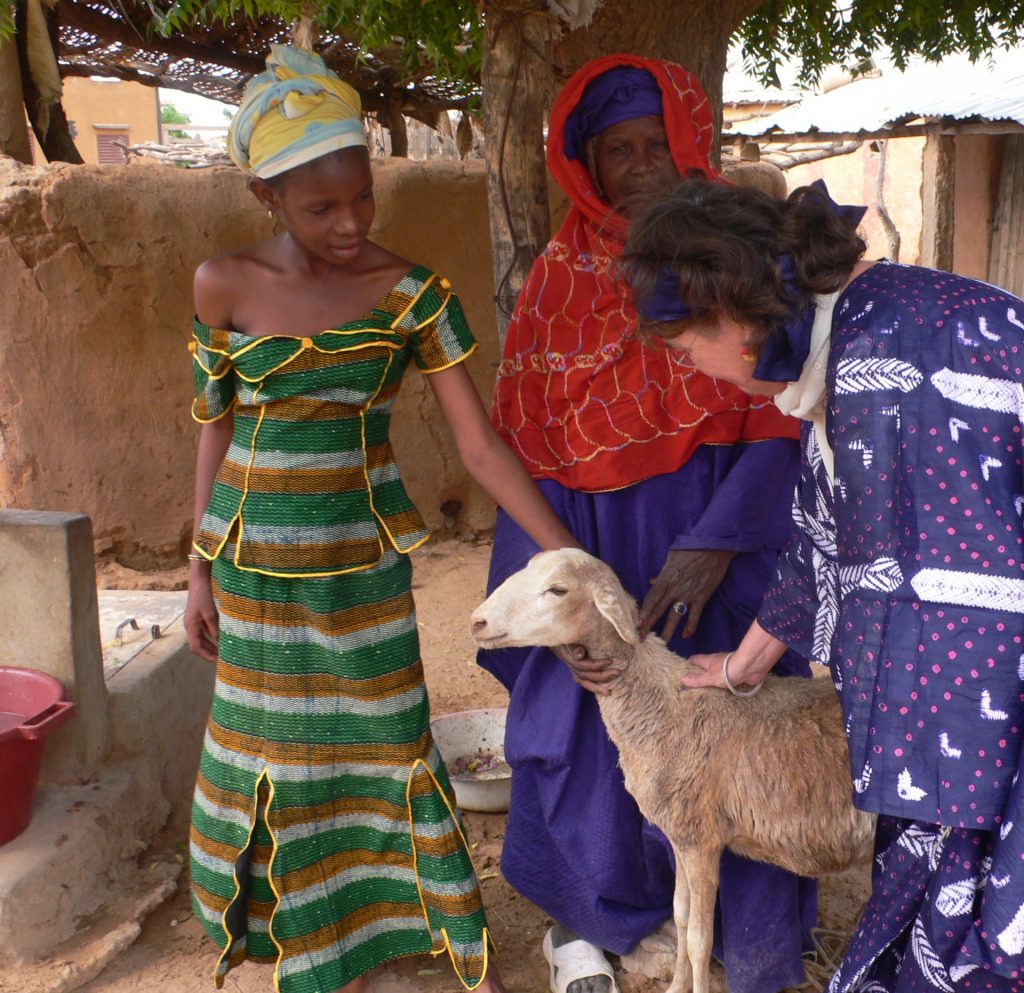 Goat project for school for deaf children