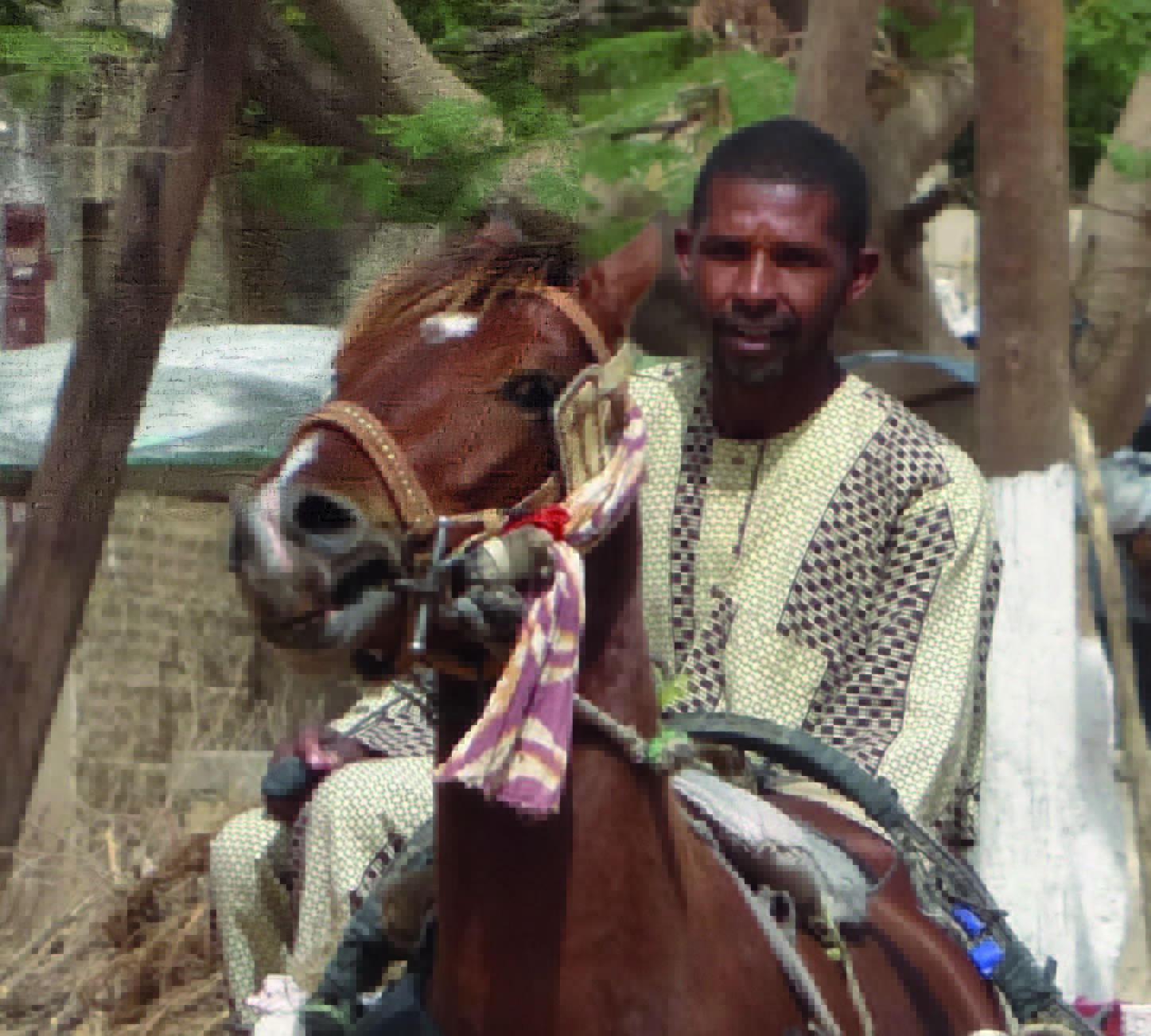 Nieuw reisverslag: de paardenmarkt in Senegal